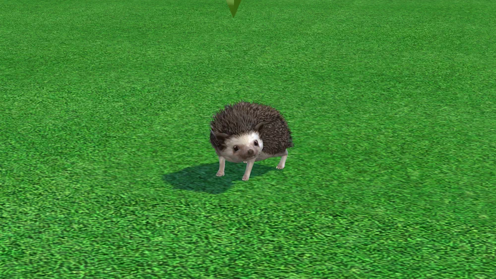 Cute Hedgehog Pet Skin image