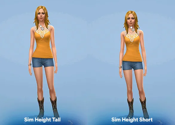 Sim Height Slider image