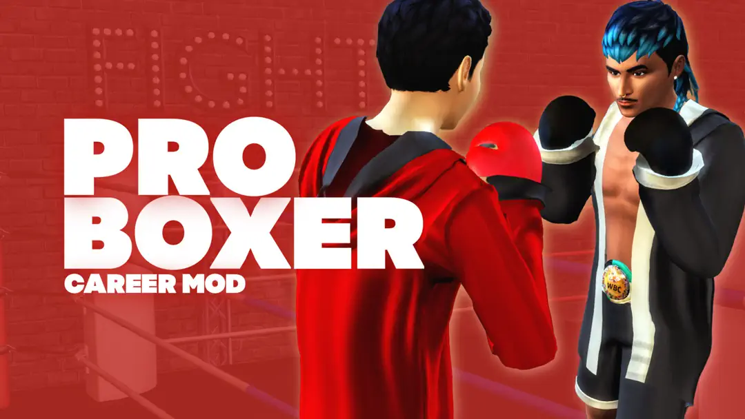 Professional Boxer Career image